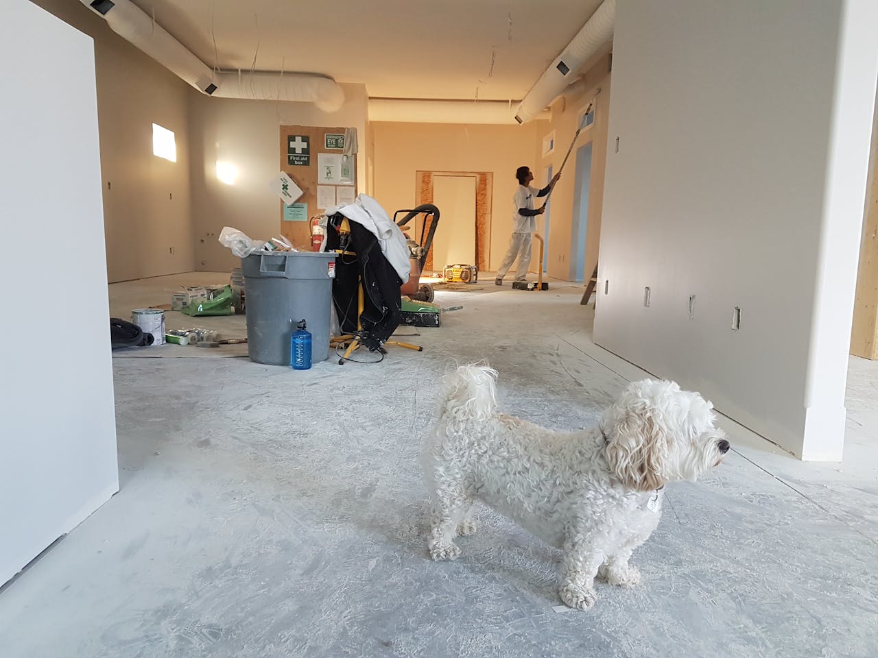 Home Interior renovation scene with a painter working and a dog in the foreground.